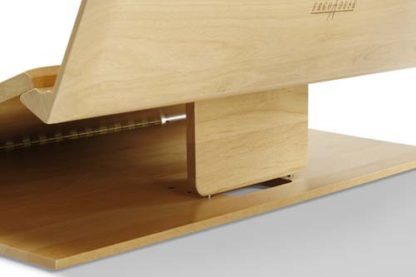 Ergo Desk | Natural Finish | Product Dimensions: 25" width x 15½" depth